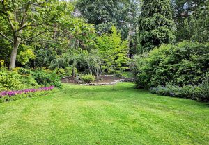 Optimiser l'expérience du jardin à Chapelle-Viviers